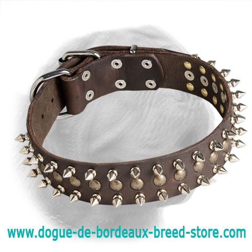 Incredible Dogue de Bordeaux Decorated Leather Collar