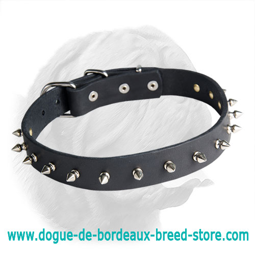Elegant Leather Spiked Dogue de Bordeaux Collar
