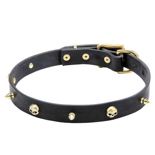Dogue de Bordeaux Leather Collar with Brass Spikes and Skulls