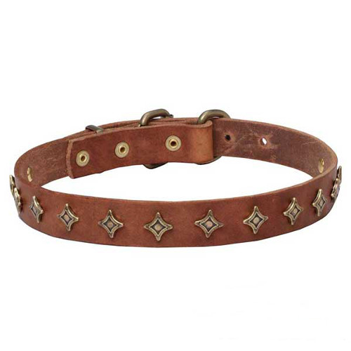 "Yellow Star" Narrow Leather Dogue de Bordeaux Collar