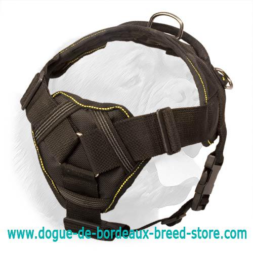 Functional All-Weather Nylon Harness with Chest Plate