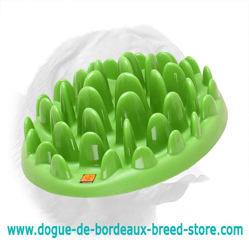 green interactive dog feeder