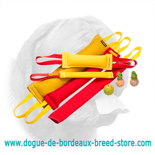 Marvelous Dogue de Bordeaux Training Set of Bite Tugs