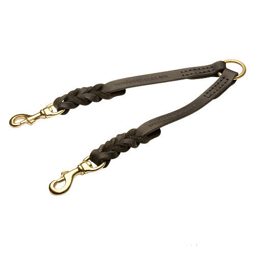 Dogue de Bordeaux Braided Leather Dog Coupler
