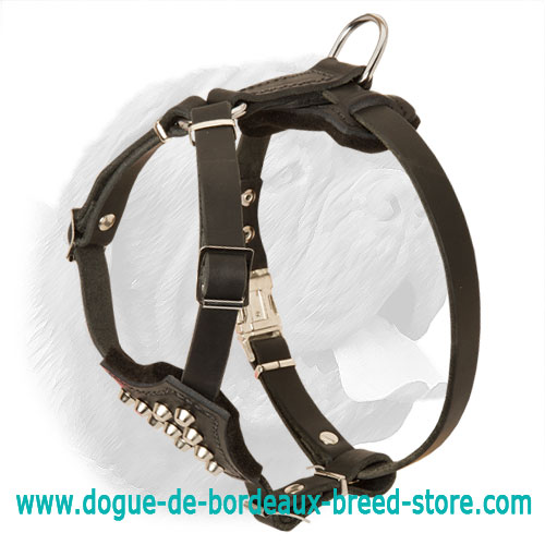 Fashionable Handcrafted Leather Harness for Dogue de Bordeaux Puppies