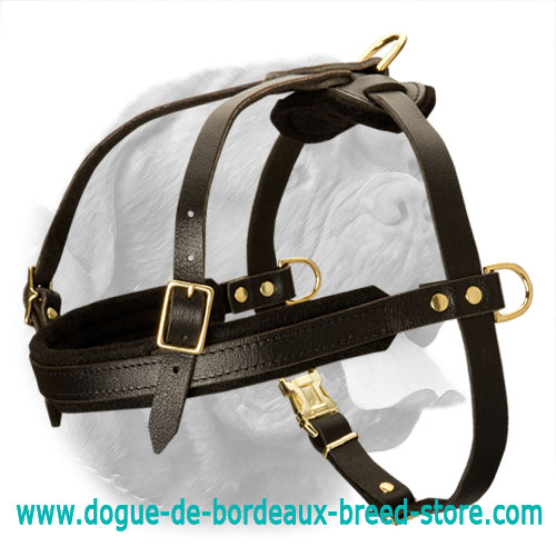 Tracking/Pulling Leather Dog Harness for Dogue De Bordeaux