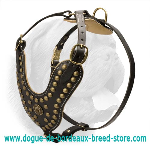 Imperial Style Leather Dog Harness with Brass Fittings for Dogue de Bordeaux