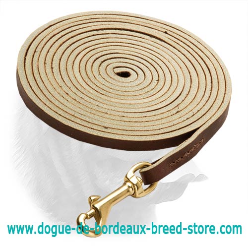 Best Leather Dogue de Bordeaux Leash for Tracking