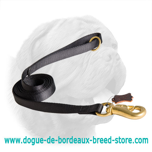 Nylon Dogue de Bordeaux Leash for Extreme Walking - Click Image to Close