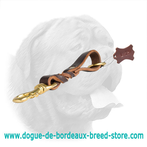 Short leather dog leash for Dogue de Bordeaux