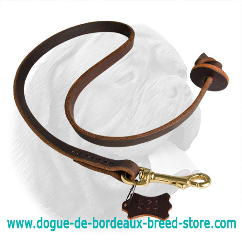 Pocket Leather Nylon Dogue de Bordeaux Leash