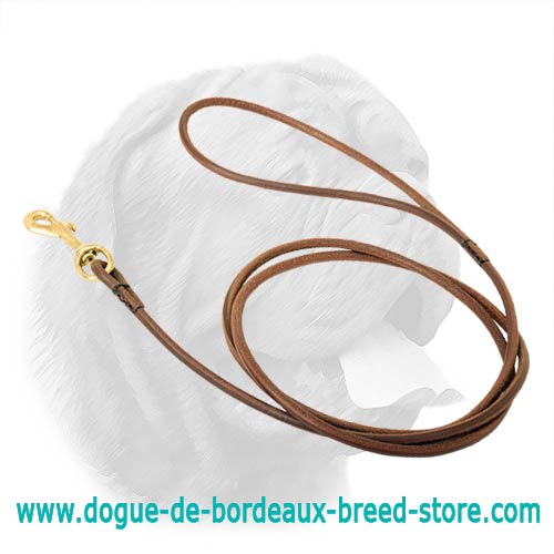 Perfectly Looking Round Leather Dogue de Bordeaux Leash for Dog Shows