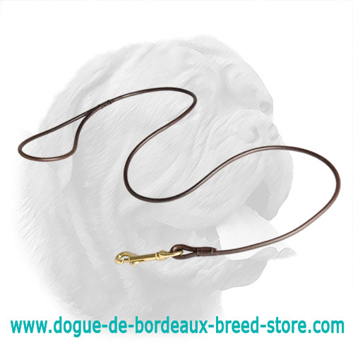 Dog Shows Dogue de Bordeaux Round Leash