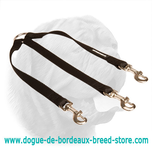 Nylon Coupler Dogue de Bordeaux Leash for Walking Three Dogs