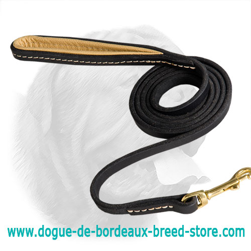 Dogue de Bordeaux Leather Leash for Walking and Training