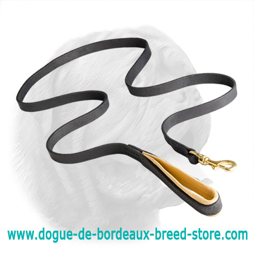 Comfortable Leather Padded Leash for Dogue de Bordeaux - Click Image to Close