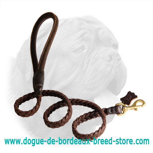 Awesome Braided Dogue de Bordeaux Leash