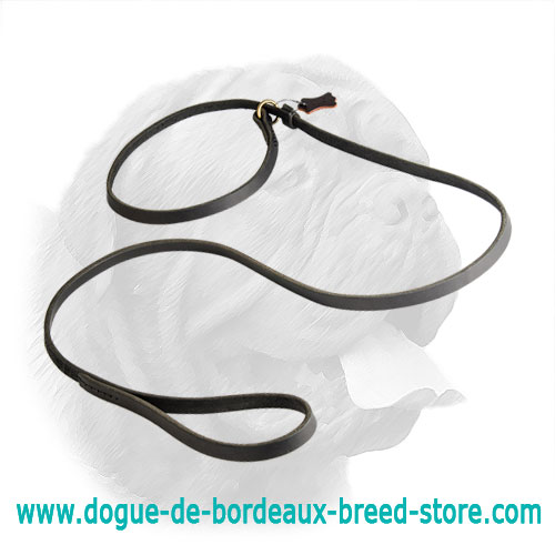 Fast Handling Leather Dogue de Bordeaux Leash with Choke Collar