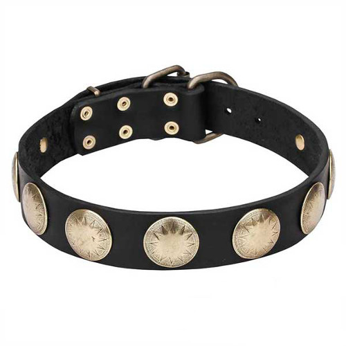 Leather Dogue de Bordeaux Collar with Brass Circles - Click Image to Close