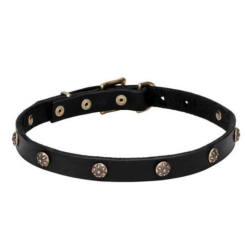 Leather Dogue de Bordeaux Collar with Engraved Round Studs
