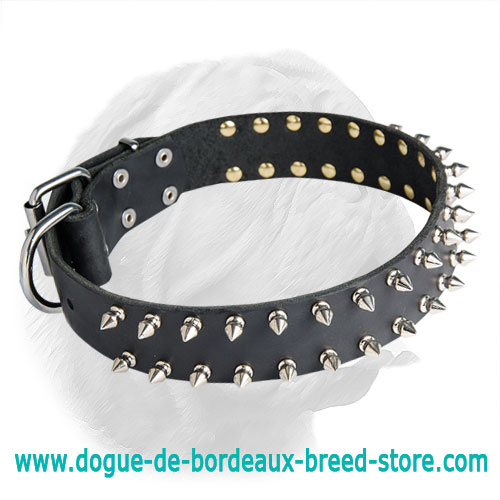 Dogue de Bordeaux Leather Spiked Dog Collar
