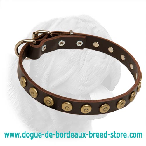 Gorgeous Leather Dogue de Bordeaux Collar With Dotted Circles