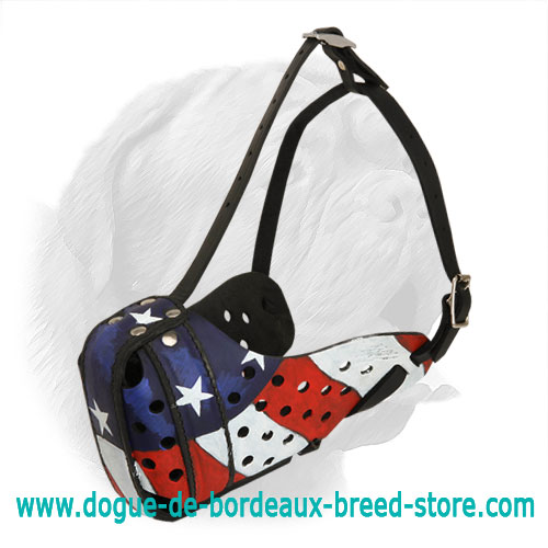 Hand Painted US Leather Muzzle for Dogue de Bordeaux