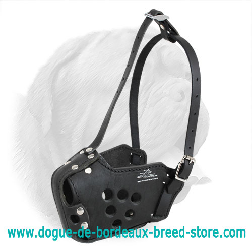 Dependable Leather Dogue de Bordeaux Muzzle for Training - Click Image to Close