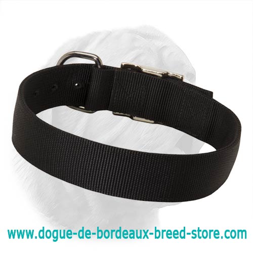 2 Ply Nylon All-Weather Dogue de Bordeaux Training/Walking Collar