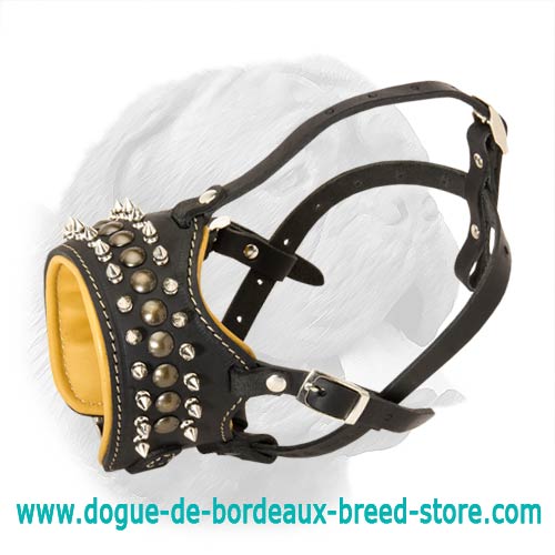 Royal Spiked Leather Muzzle for Dogue de Bordeaux with Nappa Padding