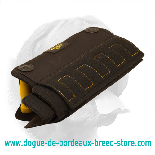 Revolutionary Dogue de Bordeaux Bite X-Builder