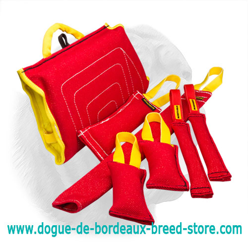 Splendid Set of French Linen Bite Gear for Dogue de Bordeaux Puppy