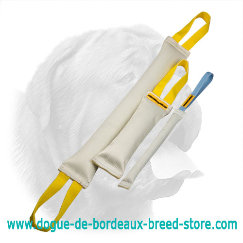 Fire Hose Bite Tugs Training Set for Dogue de Bordeaux