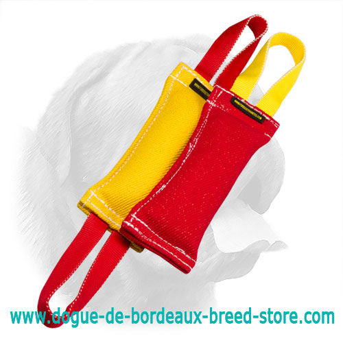 Fantastic Dogue de Bordeaux Puppy Training Set of Bite Tugs