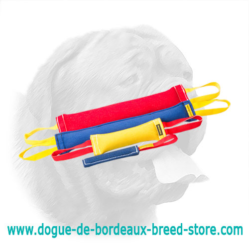 Great French Linen Bite Set for Dogue de Bordeaux