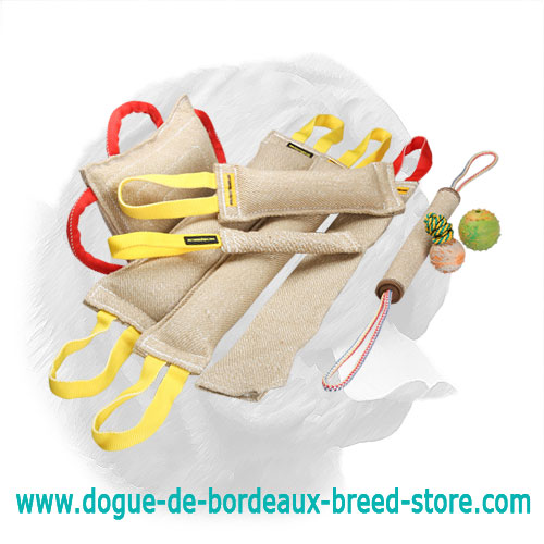 Fascinating Dogue de Bordeaux Set of Bite Tugs