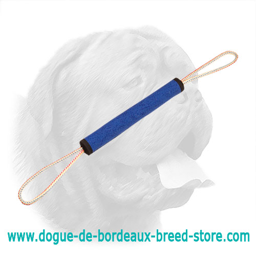 Super Reliable French Linen Play Roll for Dogue de Bordeaux