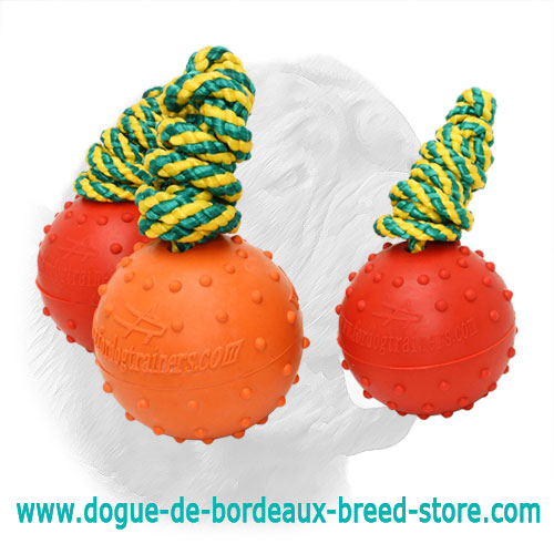 Water Full Rubber Dogue de Bordeaux Training Ball - Medium - Click Image to Close