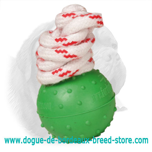 Dotted Surface Solid Rubber Dogue de Bordeaux Toy for Water Training and Playing - Small - Click Image to Close