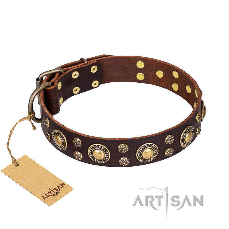 'Flower Melody' FDT Artisan Dogue de Bordeaux Brown Leather Dog Collar with Mixed Studs