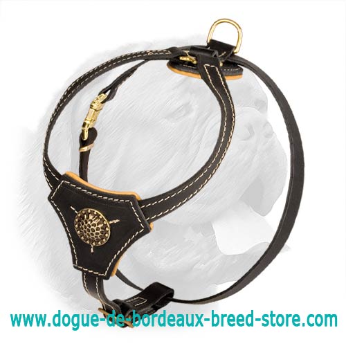 Royal Style Leather Harness with Brass Plated Decoration for Dogue de Bordeaux Puppies