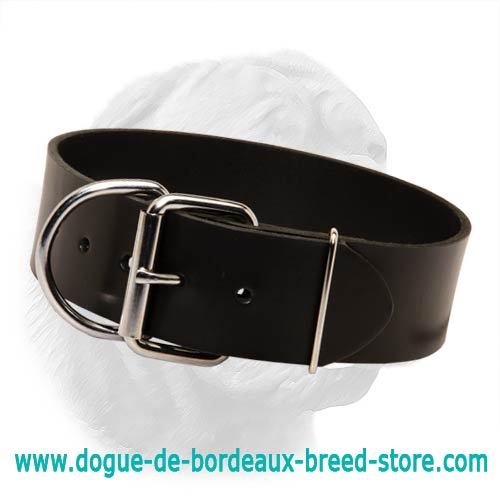 Extra Wide Plain Design Collar for Dogue de Bordeaux