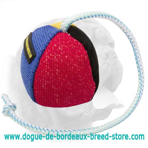 4 1/3 Inches (11 cm) in Diameter French Linen Dog Training Ball on the String - Big