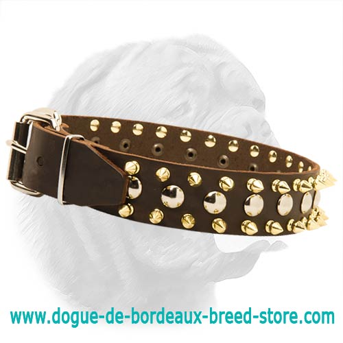 Leather Spiked & Studded Collar for Dogue de Bordeaux