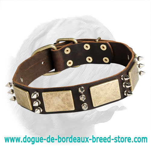Walking Leather Dog Collar with Massive Decorations for Dogue de Bordeaux