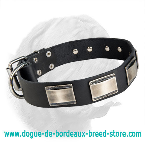Vintage Style Walking Leather Collar for Dogue de Bordeaux with Exclusive Plates
