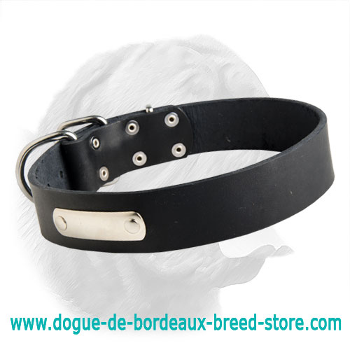 Dogue de Bordeaux Leather Dog Collar with ID Tag