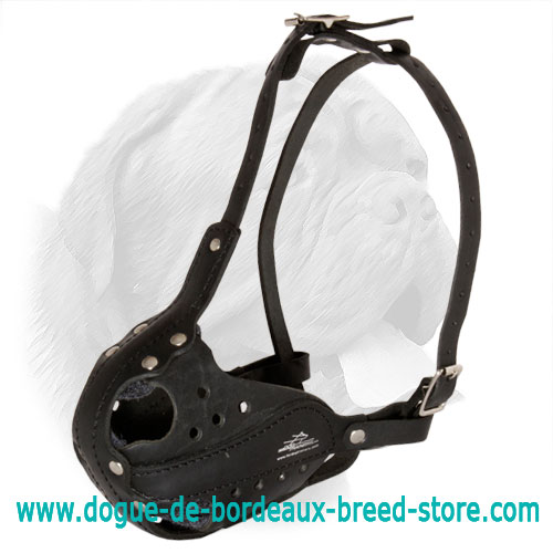 Axial Side Reinforcement Agitation Training Muzzle for Dogue de Bordeaux