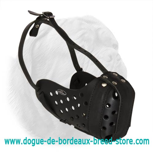 Agitation Training Leather Dogue de Bordeaux Muzzle