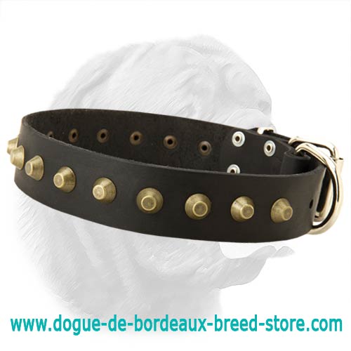 Beautiful Wide Leather Dog Collar With Brass Conoid Studs - Click Image to Close